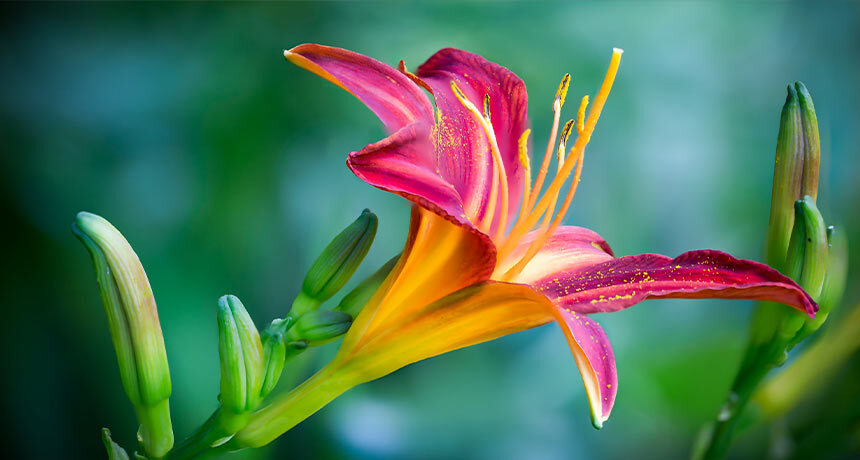prayer