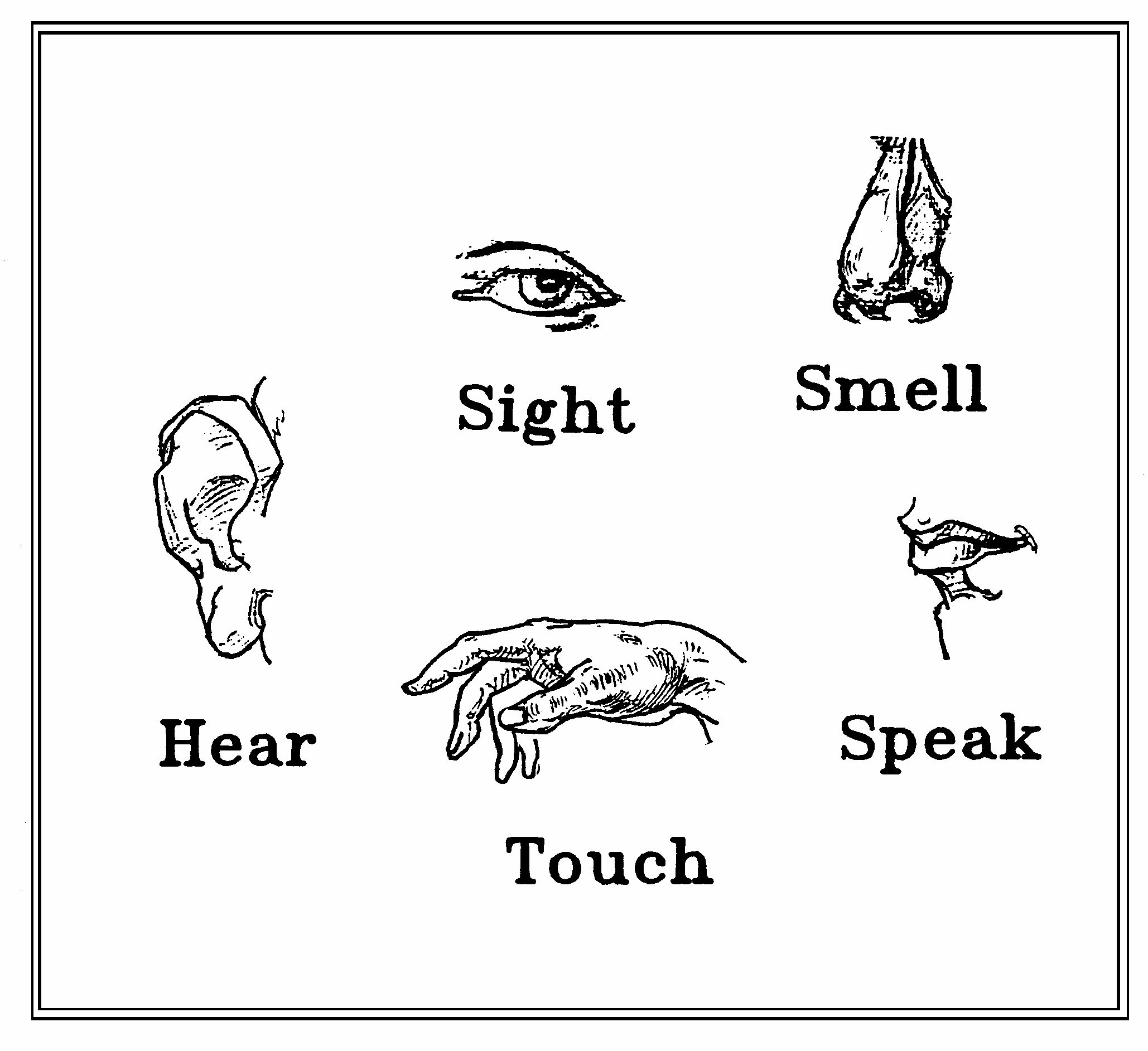Senses