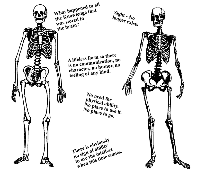 skeletons